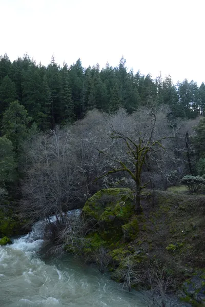 DSC_0947 (Large).JPG